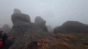 Крым Урочище Демерджи 11.11.2023