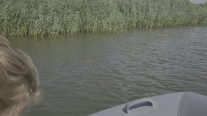 прогулка на моторной лодке на Истринском водохранилище от Ламишино до Строгачево
10 бит видео, 4к