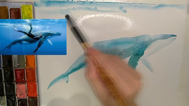 Как нарисовать кита | Рисуем горбатого кита акварелью#кит #горбатыйкит #урокрисования