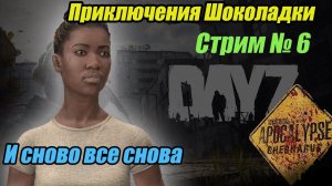 DayZ Apocalypse.Стрим №6. Через Светлоярск на авторынок. Приключения Мандаринки.  #bulldezeer