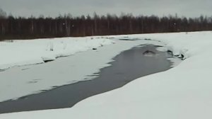 Мотособака Мужик вездеход отзыв мотобуксировщик