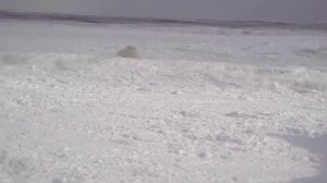 море снежное