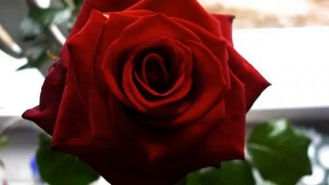 Самая красивая музыка и фото в хорошем качестве