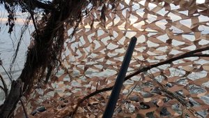 Охота на уток, Краснодарское водохранилище. Март 2024