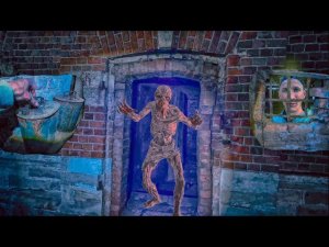 Часть 7. РУИНЫ ПРОШЛОГО. ЧЕРДАЧНЫЙ ПОИСК ЦАРСКИХ МОНЕТ, СТАРИННЫХ ВЕЩЕЙ В КУПЕЧЕСКОМ ЦАРСКОМ ДОМЕ.