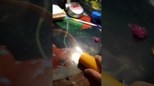 Ультра звуковой тренер и отпугиватель собак и кошек.