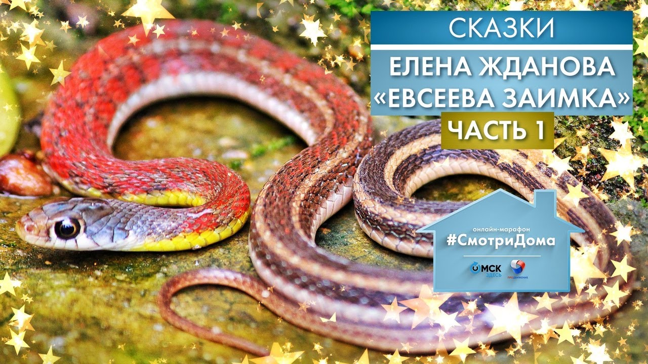 #СмотриДома | Елена Жданова «Евсеева заимка» - Часть 1 | Сказки на ночь