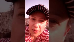 Как посадить актинидию, киви. Размножение и уход.