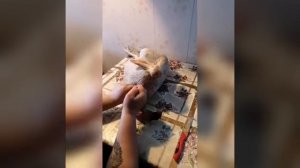 Забой, ощип, опаливание, потрошение индейки. Белая широкогрудая. Индюки наш опыт. Убой индюка.