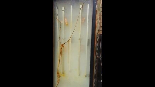 Электростатическое копчение