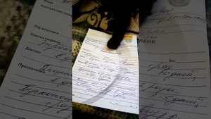 Кровь в моче у кота. Лечение