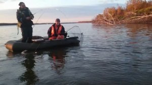 Щука монстр. Рыбалка на Оби.