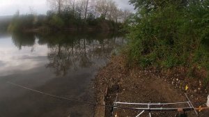 Карп  5кг.На мини бойлы.