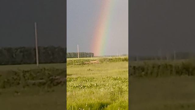 Красота природы