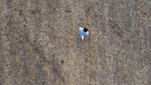 DIRTY BORSCH - Голубые глаза смотреть онлайн