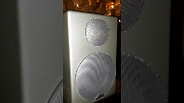 Monıtor Audio Radıus 90 performans test