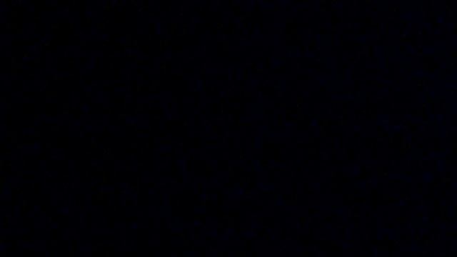 Неделя охоты на бобров. Фантастическая охота в окружении 4х бобров сразу смотреть онлайн