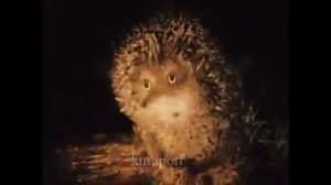 Мужчина в образе бобра???