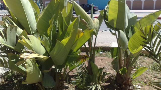 МАРРАКЕШ-ТИЗНИТ-АГАДИР.2012 ГОД. voyage au maroc. смотреть онлайн