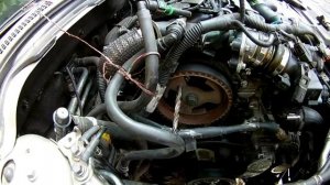 Заміна ременя ГРМ на Volvo V50 1,6D Zahnriemenwechsel für Volvo V50