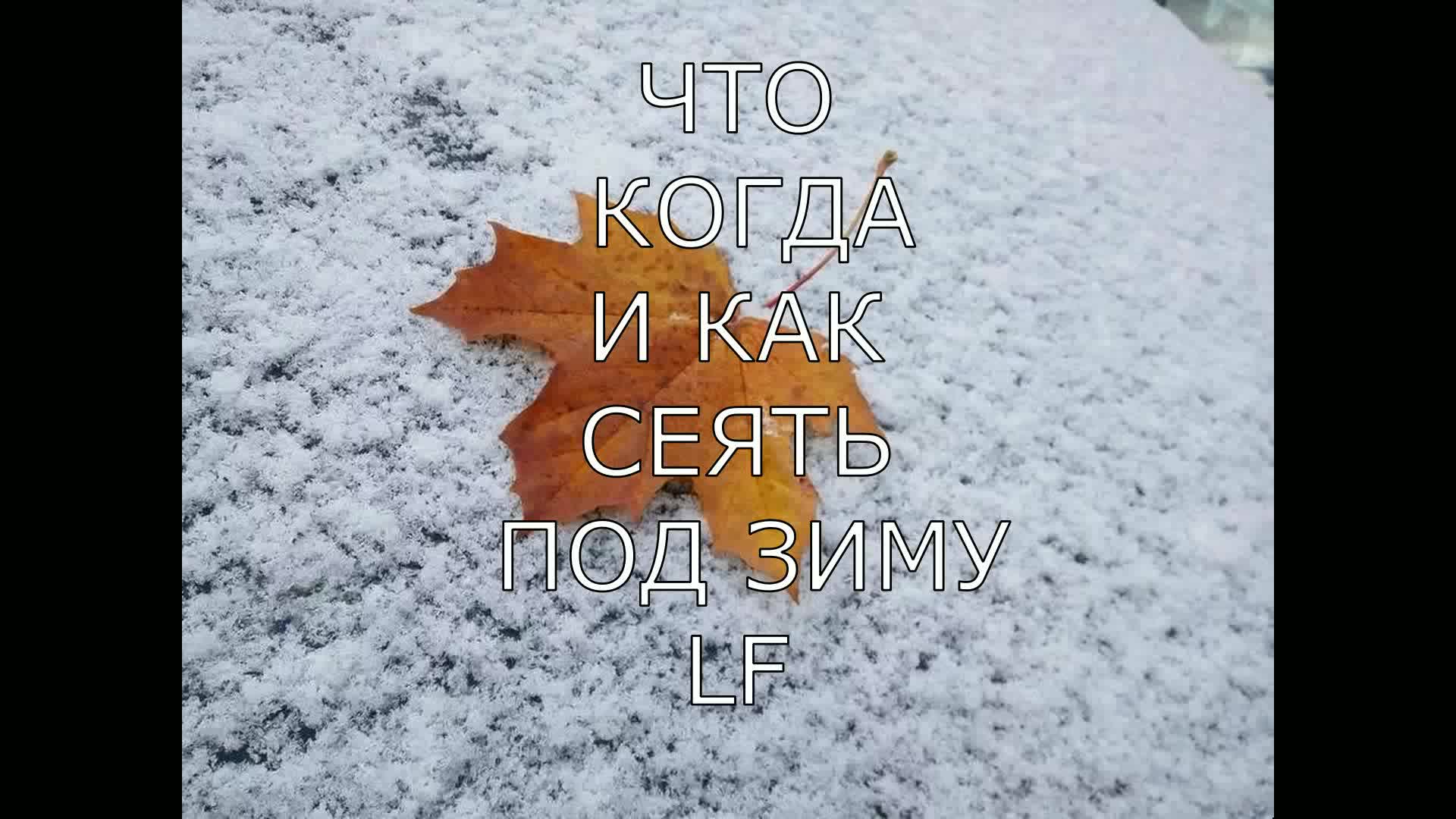 Что, когда и как сеять под зиму.