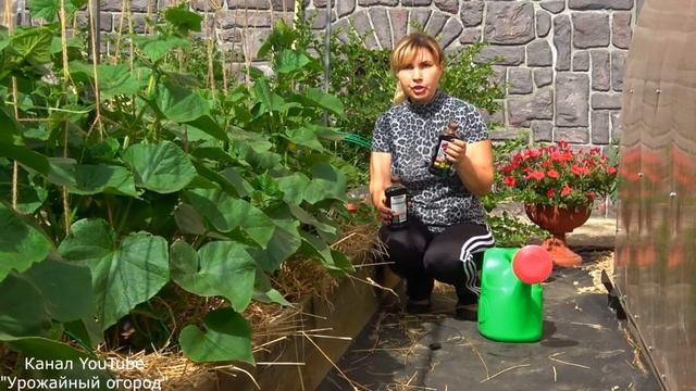 ГУМАТ АММОНИЯ смотреть онлайн