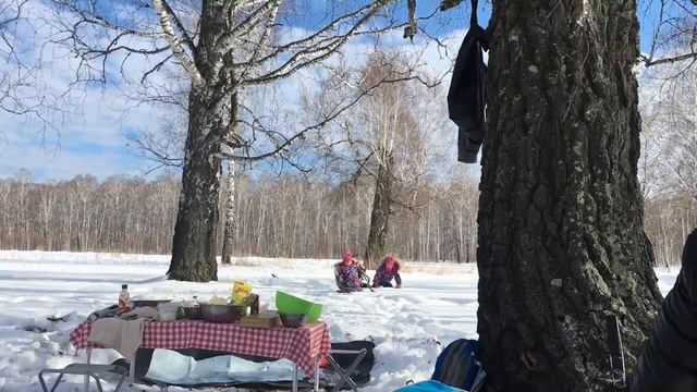 Как отлично провести выходной! Шашлыки 23.02.2020