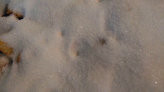 Варенье из нектаринов смотреть онлайн