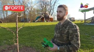 Обработка сада от тли, гусениц и других насекомых. Эжектор Bona Forte - подключи и обработай