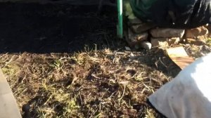 ВАЗ 2109 Как выбить развальные болты со стойки!!!