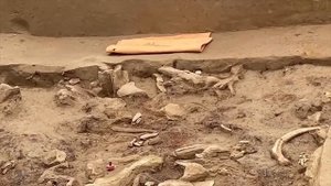 Дневник Хотылёво-2023. Серия 11. Константин Гаврилов. Находки на Хотылёво 2