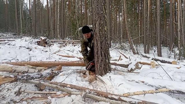 Работа в лесу для настоящих мужиков. ✊ смотреть онлайн