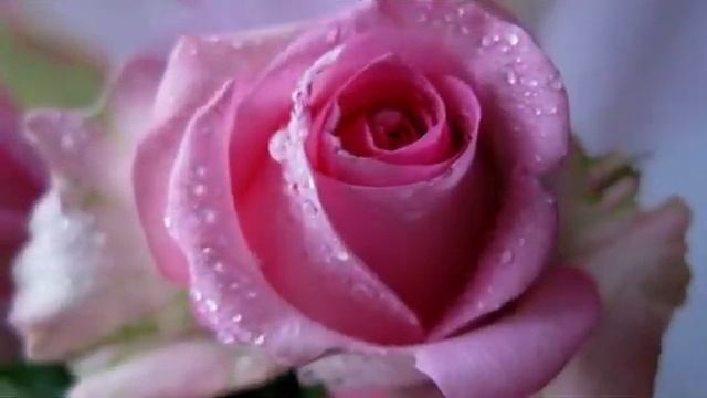 С_ДНЕМ_РОЖДЕНИЯ_МУЗЫКАЛЬНАЯ_ОТКРЫТКА_ПОЗДРАВЛЕНИЕ(1).mp4