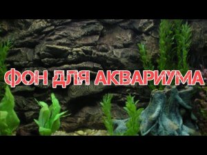 ЗАЧЕМ НУЖЕН ФОН В АКВАРИУМЕ И КАК ЕГО ВЫБРАТЬ