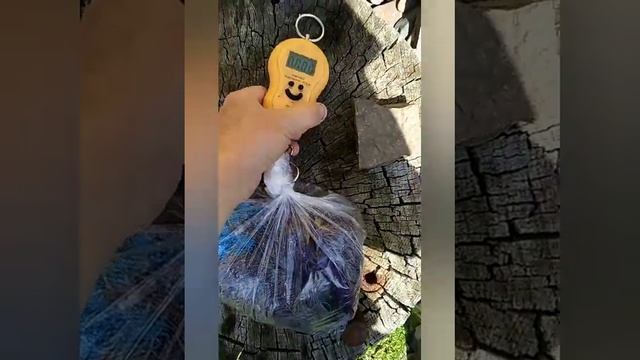 Берёт ли воду полиэфир? смотреть онлайн