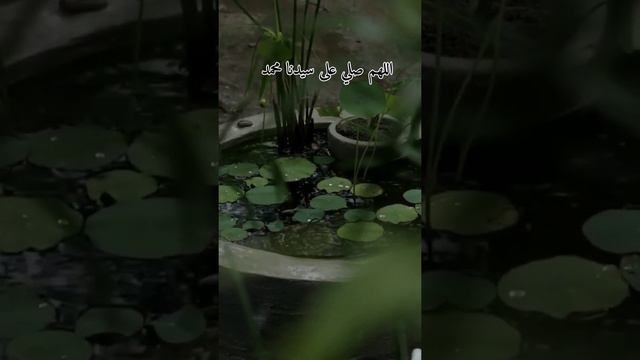 قصة الصحابي عبد الله بن عبدالله بن أبي سلول