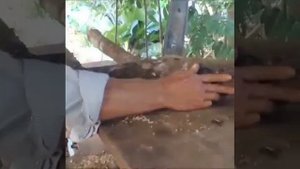 Циркулярка+ велосипед отличный станок 😀😀😀