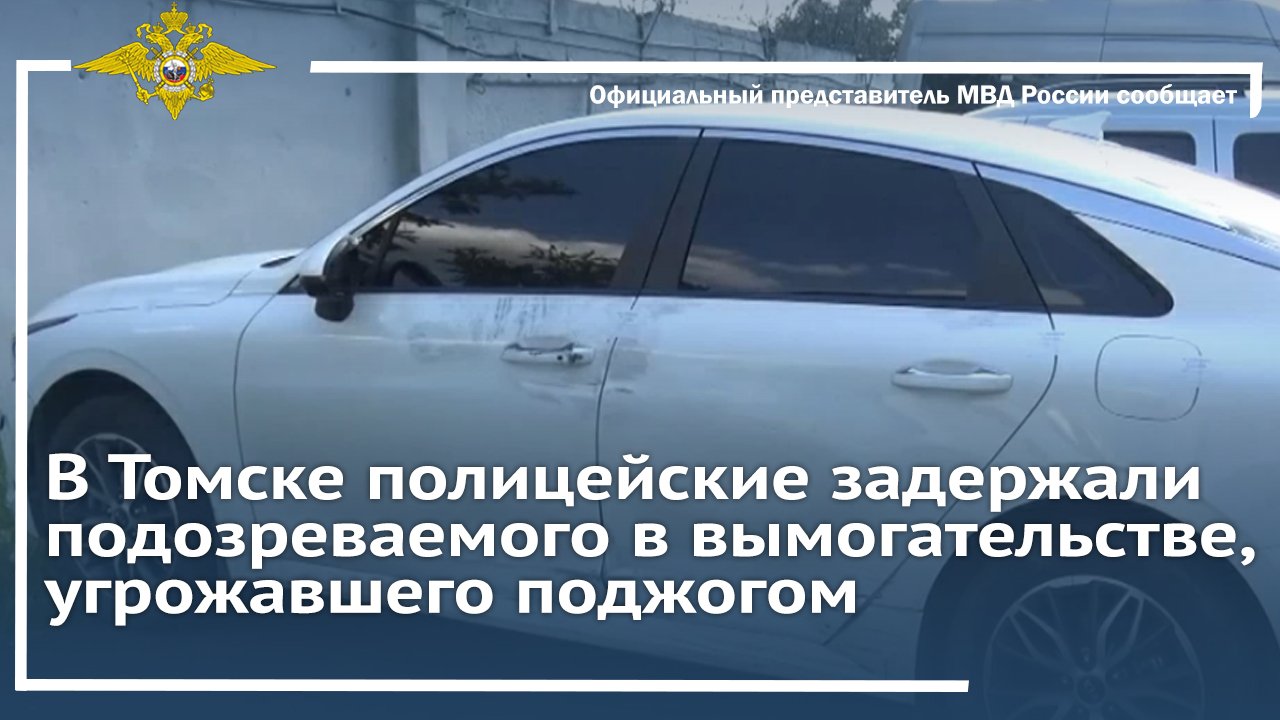 В Подмосковье полицейские задержали подозреваемого в серии краж автомобилей