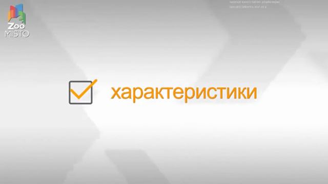 Королевский Пекинес!!!