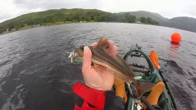 Trio of kayak fisher смотреть онлайн