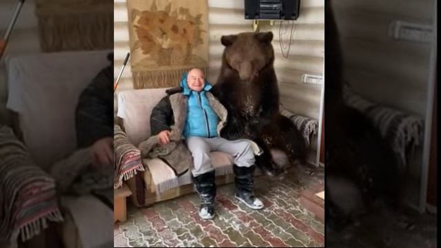 Юмористы