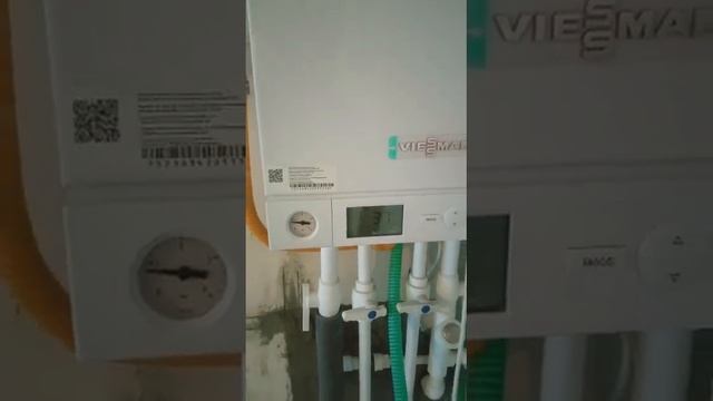 газовый котел viessman vitopend 100-w A1JB-24