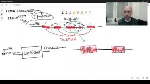 Что такое сплайсинг? Душкин объяснит