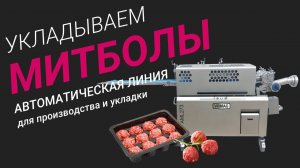 Линия укладки митболов VEMAG AML273+SL305