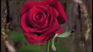 Чекалин Сергей - Musical masterpiece.-(480p)