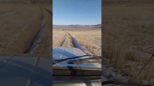 УАЗ Хантер (дизель)