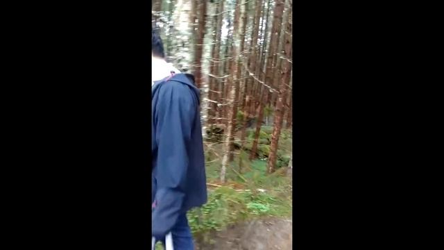 Норвегия 2017  поход на озеро через хвойный лес туризм в норвегии планета земля, путешествия,