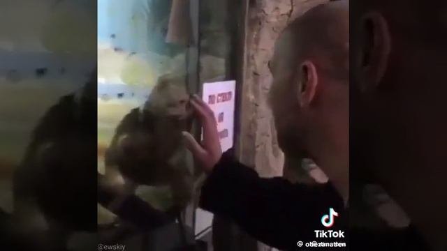 жесть