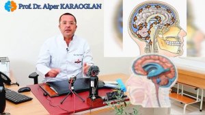 Что такое гидроцефалия? Почему это происходит? | Проф. Др. Альпер КАРАОГЛАН