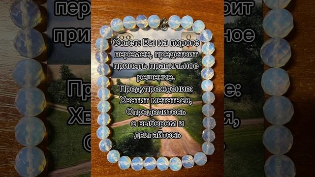 совет и предупреждение #тароонлайн #tarot #картытаро #таро #стримы #гадание #гаданиенакартах